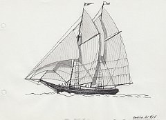 187 America del Nord - schooner da pesca con attrezzatura estiva - 1890 Halibut schooner